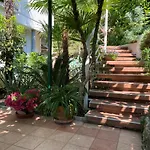 Sunny Garden