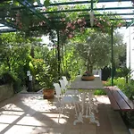 Sunny Garden