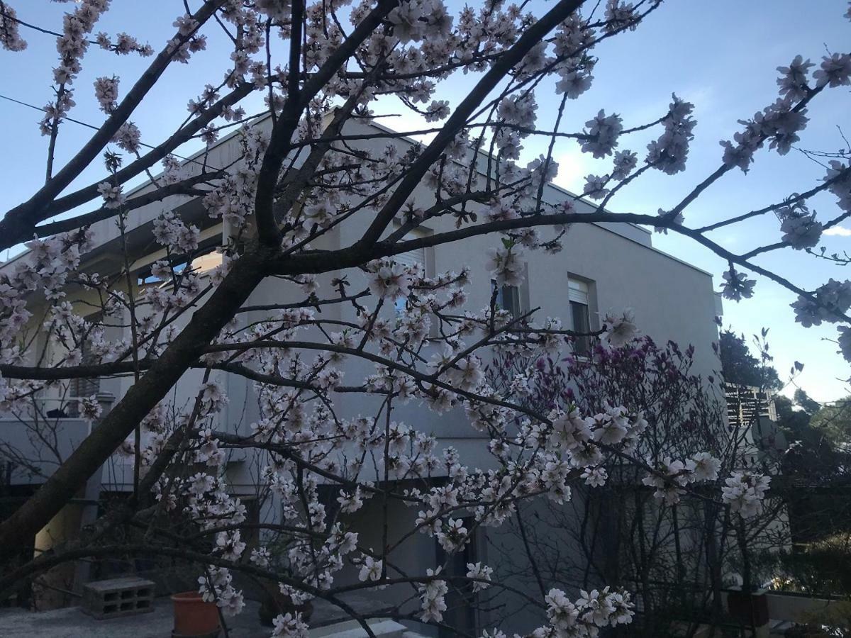Apartma Sunny Garden Opatija